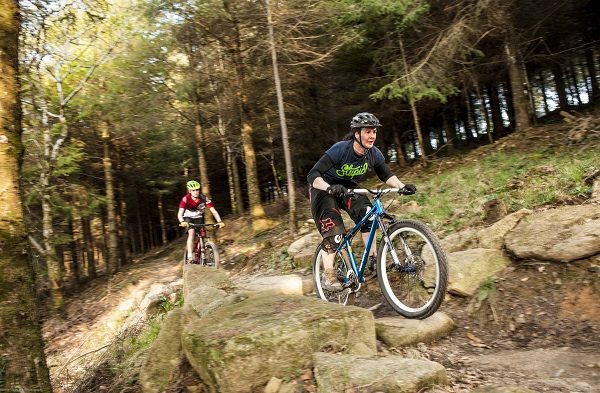 Cardinham Woods 600x393 - Active and Outdoors