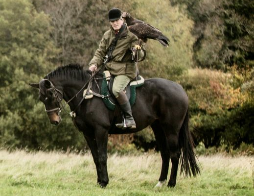 Falconry 519x400 - Luxury Experiences