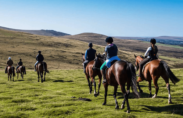 Horses 600x389 - Luxury Experiences