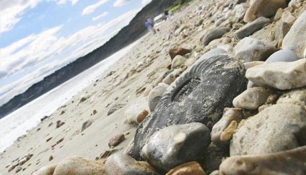 Jurassic Coast 600x344 - Active and Outdoors