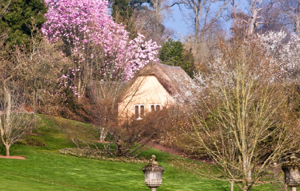 Killerton 600x382 - Luxury Experiences