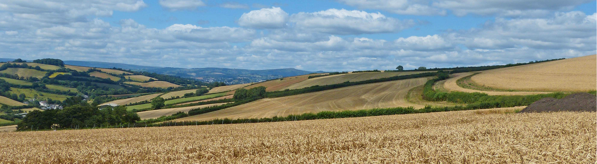 Products Header 1995x550 - Taste of Devon