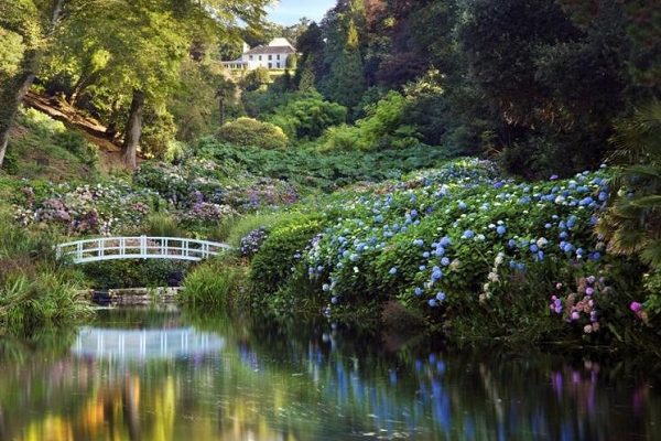 Trebah Gardens 600x400 - Film, TV and Literature